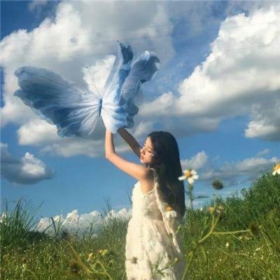 理性和感性